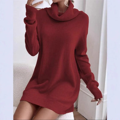 Amara | Cozy Turtleneck Sweater Dress