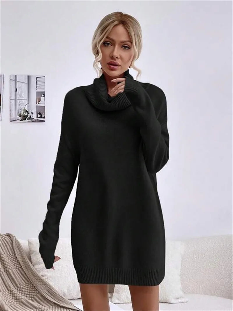 Amara | Cozy Turtleneck Sweater Dress